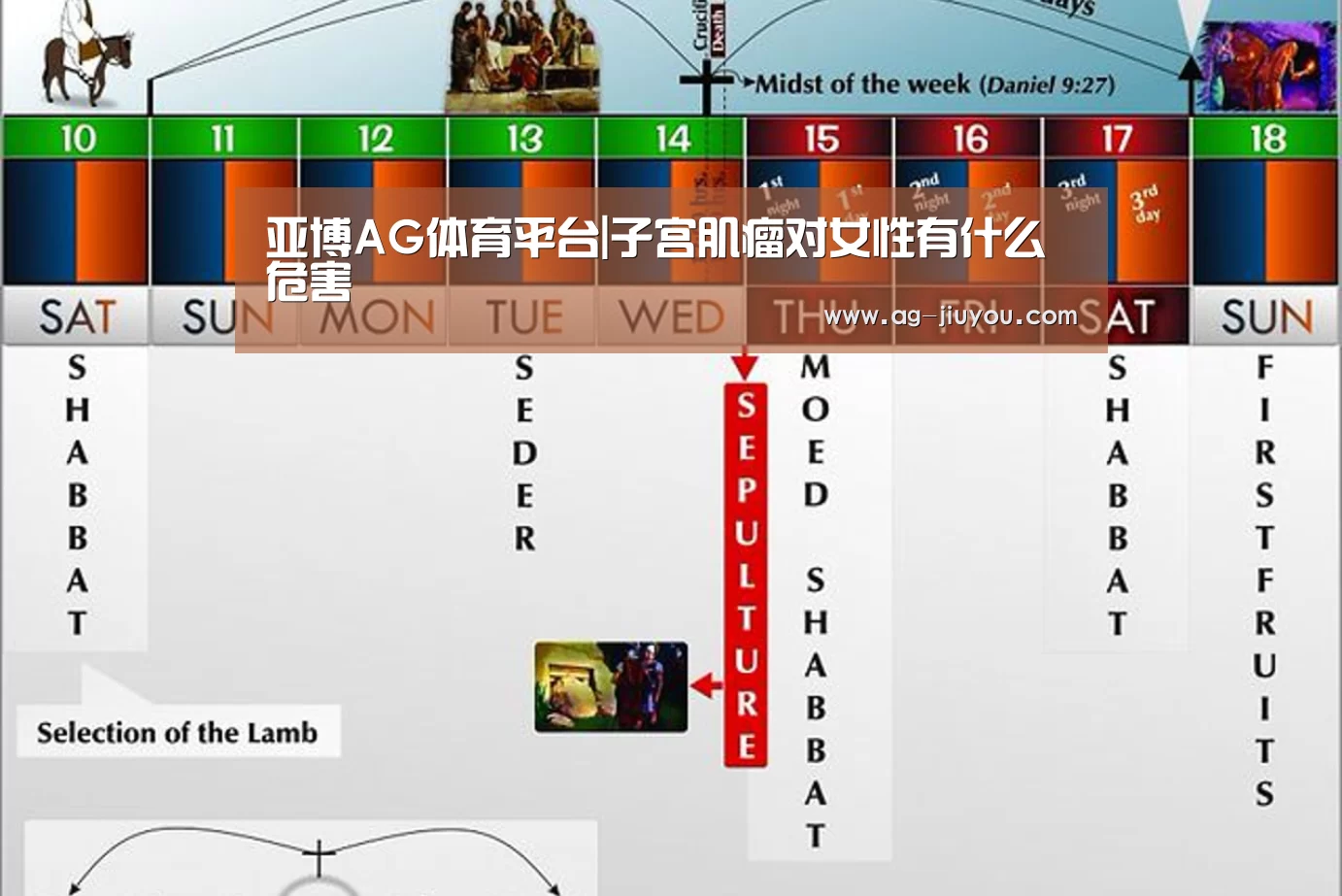 亚博AGAPP下载